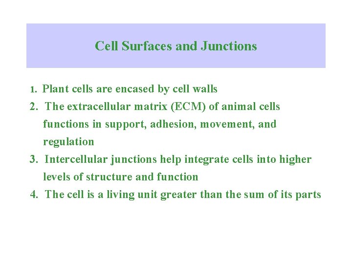 Cell Surfaces and Junctions 1. Plant cells are encased by cell walls 2. The