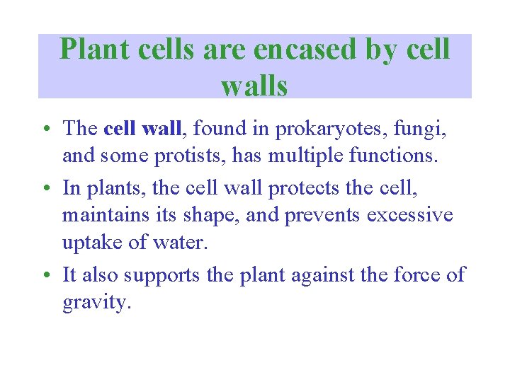 Plant cells are encased by cell walls • The cell wall, found in prokaryotes,