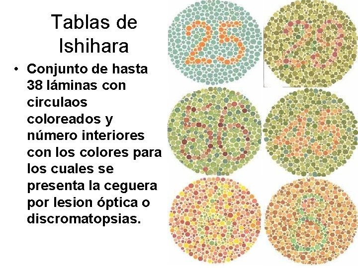 Tablas de Ishihara • Conjunto de hasta 38 láminas con circulaos coloreados y número