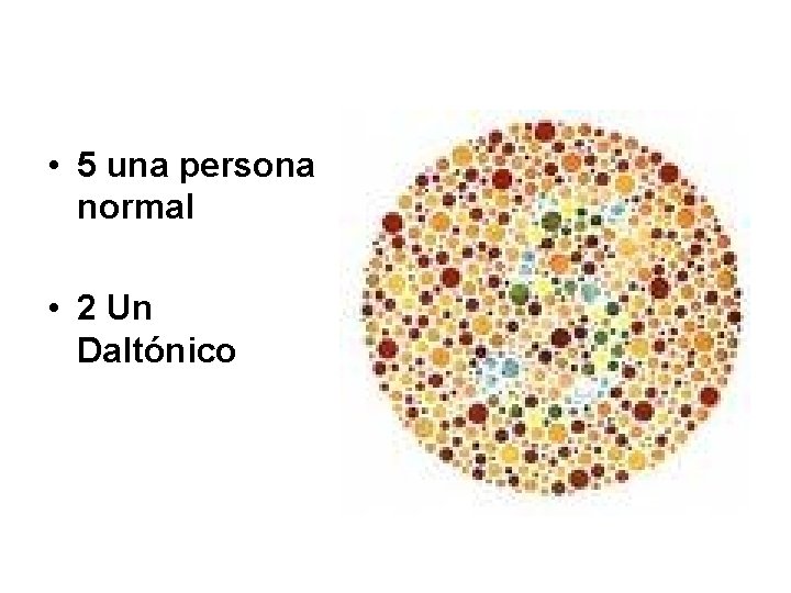  • 5 una persona normal • 2 Un Daltónico 