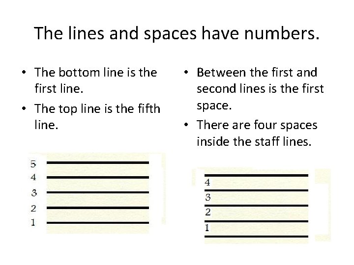 The lines and spaces have numbers. • The bottom line is the first line.