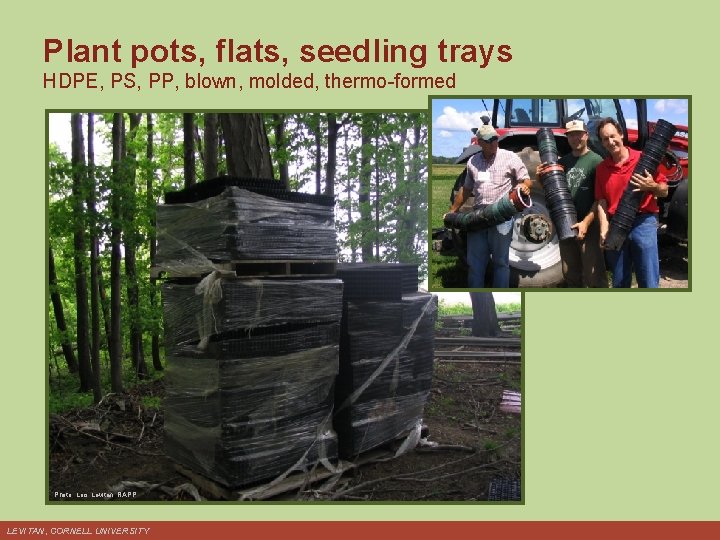 Plant pots, flats, seedling trays HDPE, PS, PP, blown, molded, thermo-formed Photo: Lois Levitan,