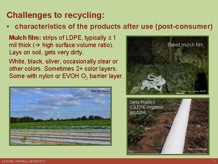 Challenges to recycling: • characteristics of the products after use (post-consumer) Mulch film: strips