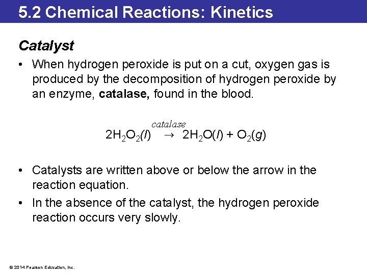 5. 2 Chemical Reactions: Kinetics Catalyst • When hydrogen peroxide is put on a