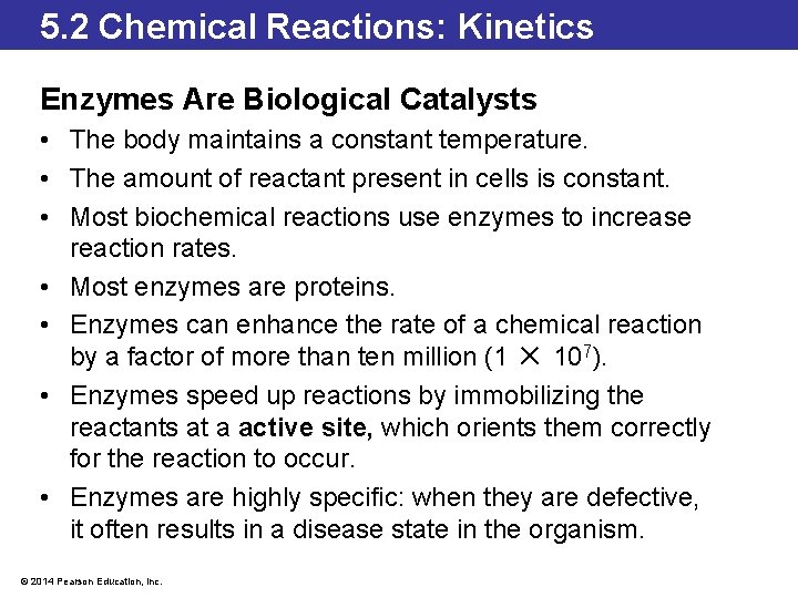 5. 2 Chemical Reactions: Kinetics Enzymes Are Biological Catalysts • The body maintains a