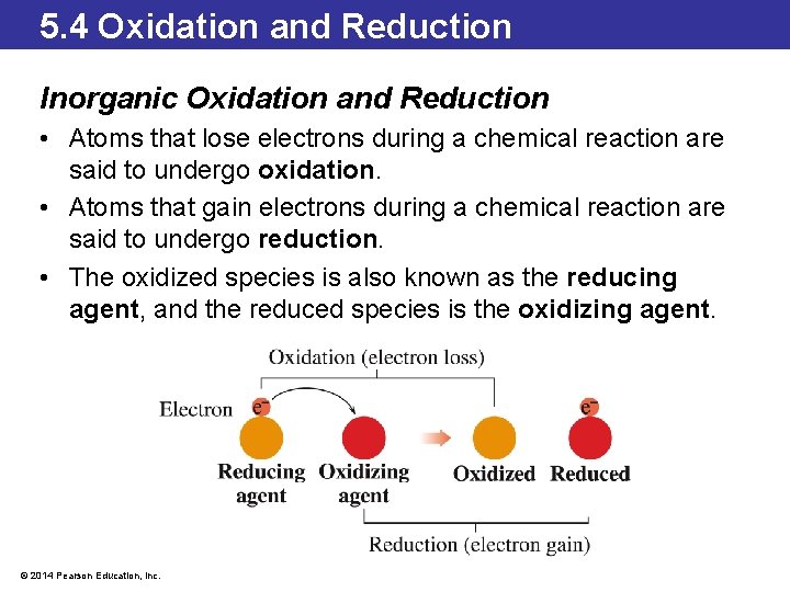 5. 4 Oxidation and Reduction Inorganic Oxidation and Reduction • Atoms that lose electrons