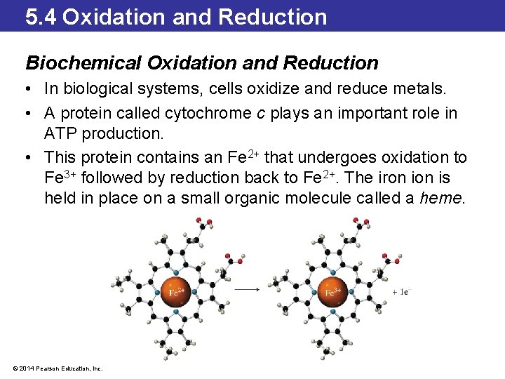 5. 4 Oxidation and Reduction Biochemical Oxidation and Reduction • In biological systems, cells