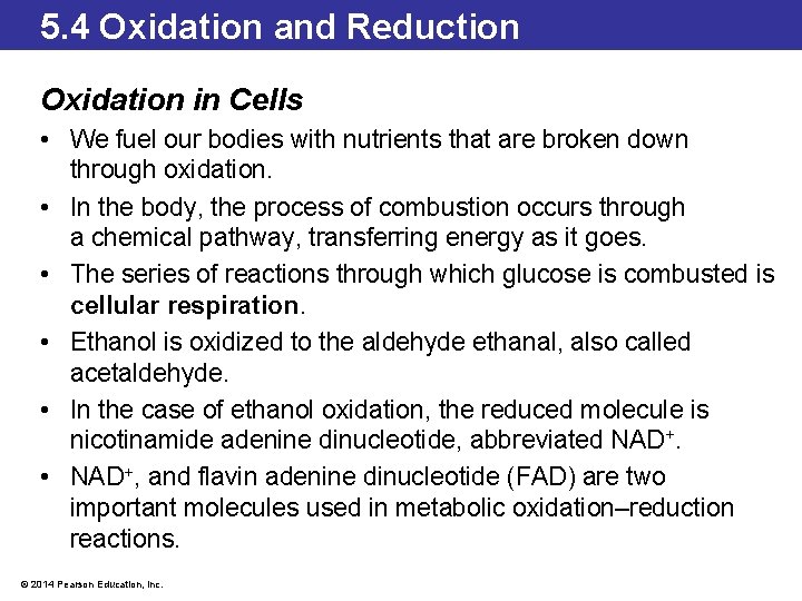 5. 4 Oxidation and Reduction Oxidation in Cells • We fuel our bodies with