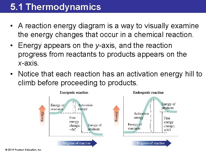 5. 1 Thermodynamics • A reaction energy diagram is a way to visually examine