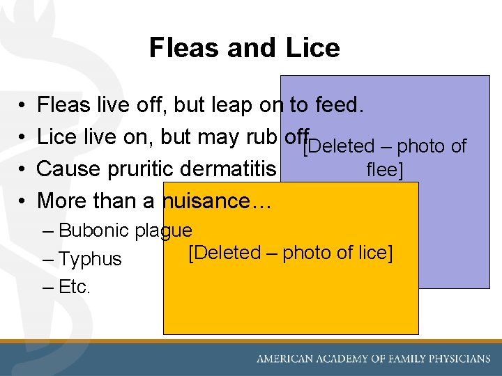 Fleas and Lice • • Fleas live off, but leap on to feed. Lice