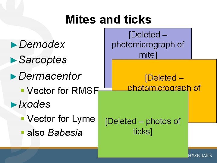 Mites and ticks ►Demodex ►Sarcoptes ►Dermacentor § Vector for RMSF ►Ixodes § Vector for