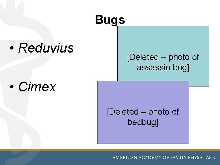 Bugs • Reduvius [Deleted – photo of assassin bug] • Cimex [Deleted – photo