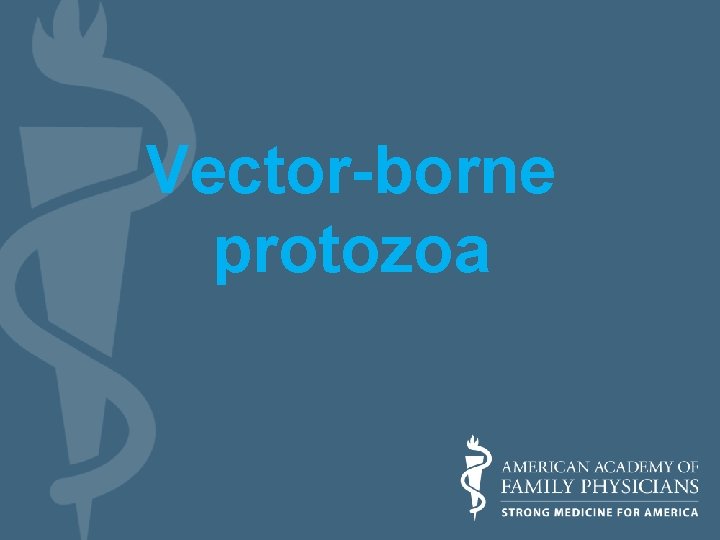 Vector-borne protozoa 