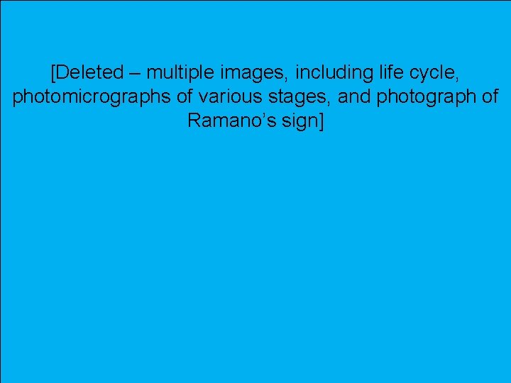 [Deleted – multiple images, including life cycle, photomicrographs of various stages, and photograph of