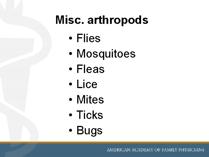 Misc. arthropods • • Flies Mosquitoes Fleas Lice Mites Ticks Bugs 
