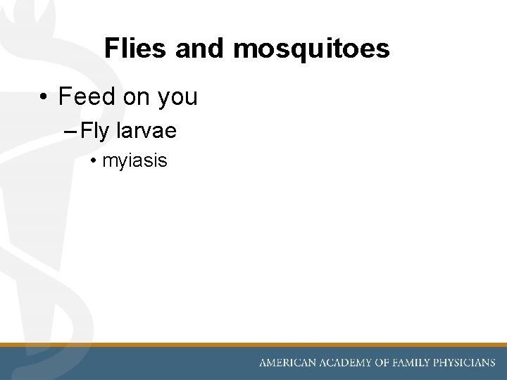 Flies and mosquitoes • Feed on you – Fly larvae • myiasis 