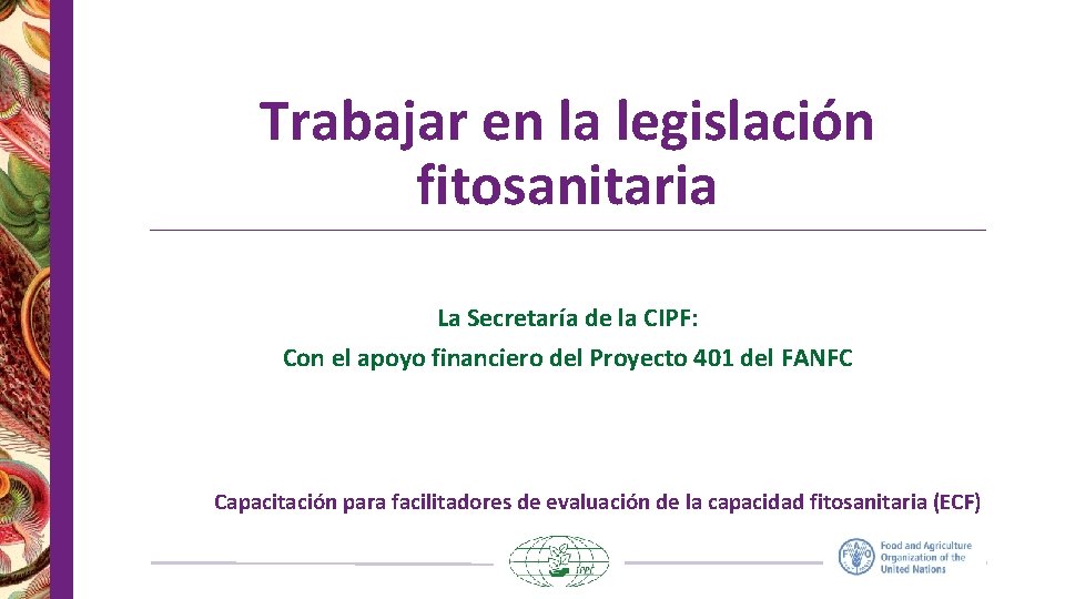 Trabajar en la legislación fitosanitaria La Secretaría de la CIPF: Con el apoyo financiero