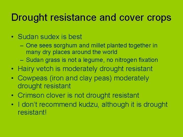 Drought resistance and cover crops • Sudan sudex is best – One sees sorghum