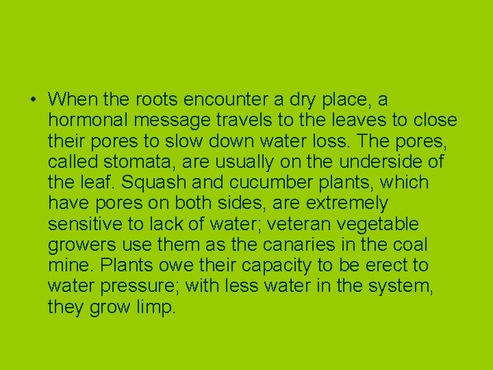  • When the roots encounter a dry place, a hormonal message travels to