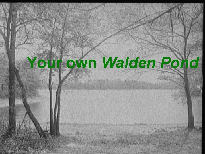 Your own Walden Pond 