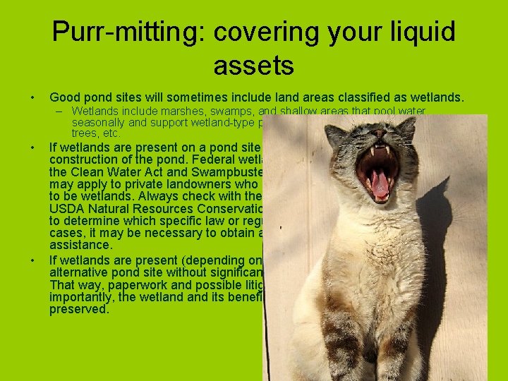 Purr-mitting: covering your liquid assets • Good pond sites will sometimes include land areas