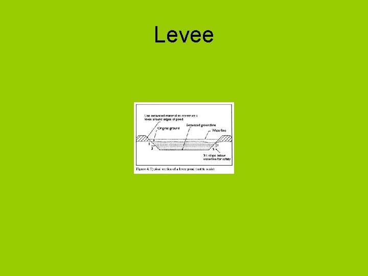 Levee 