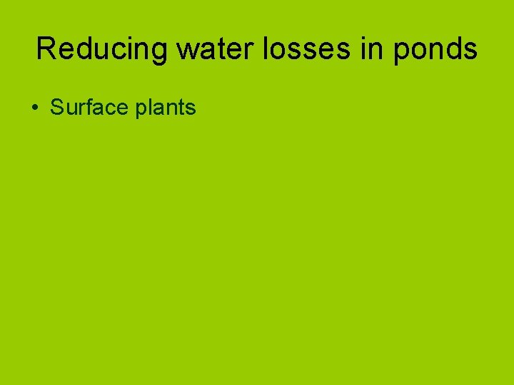 Reducing water losses in ponds • Surface plants 