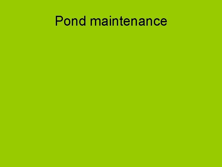 Pond maintenance 