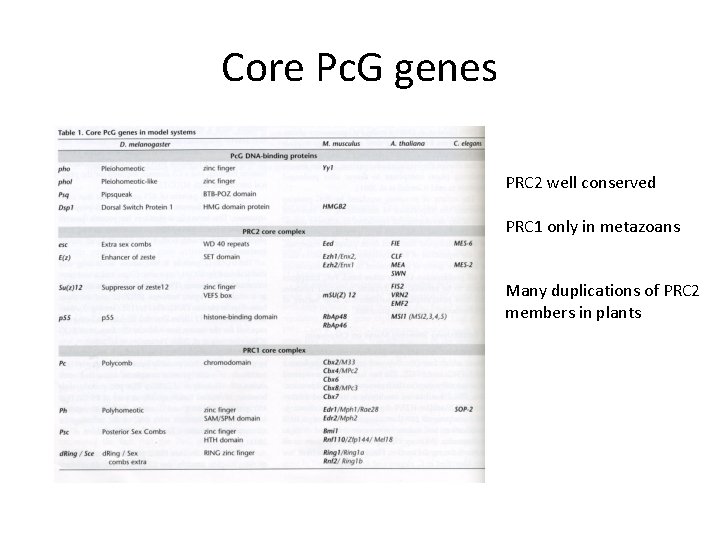 Core Pc. G genes PRC 2 well conserved PRC 1 only in metazoans Many