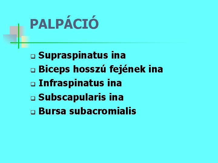 PALPÁCIÓ Supraspinatus ina q Biceps hosszú fejének ina q Infraspinatus ina q Subscapularis ina