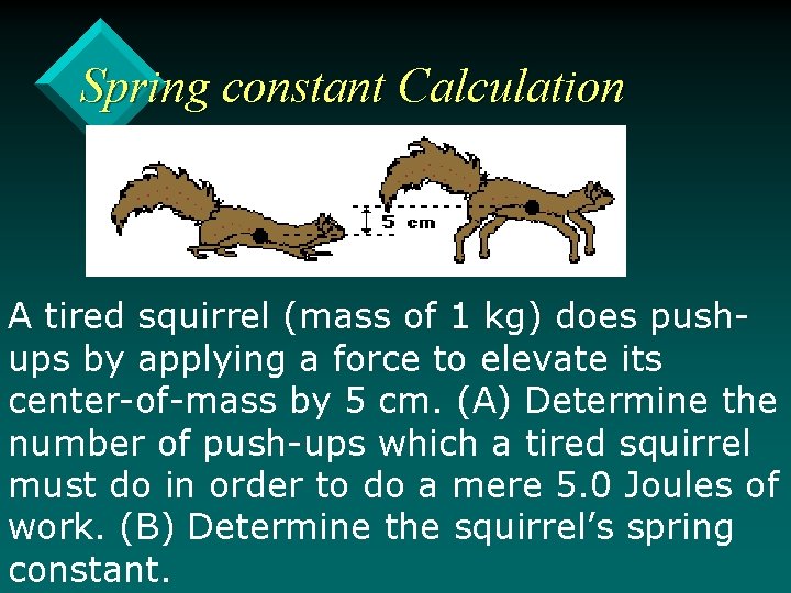 Spring constant Calculation A tired squirrel (mass of 1 kg) does pushups by applying