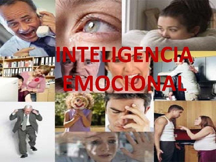 INTELIGENCIA EMOCIONAL 