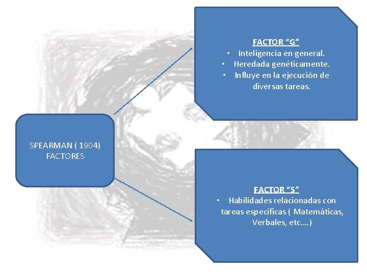FACTOR “G” • Inteligencia en general. • Heredada genéticamente. • Influye en la ejecución