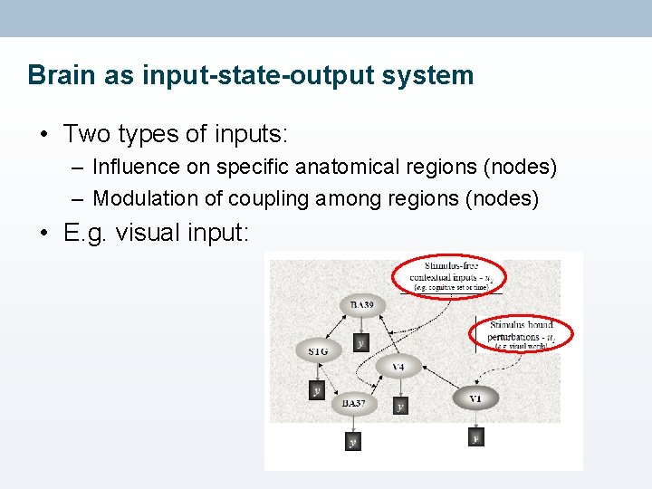 Brain as input-state-output system • Two types of inputs: – Influence on specific anatomical
