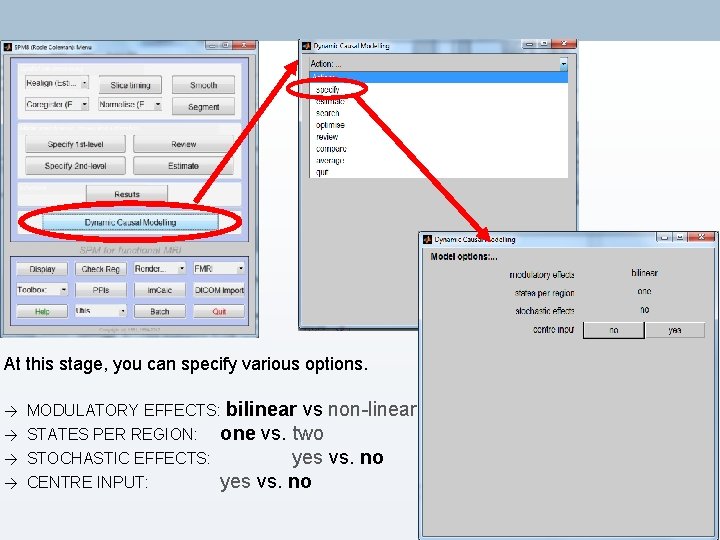 At this stage, you can specify various options. → → MODULATORY EFFECTS: bilinear vs