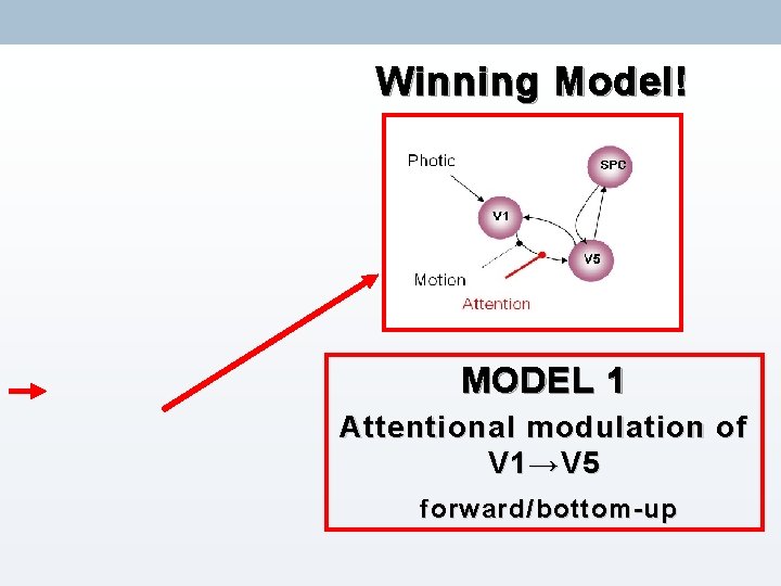 Winning Model! MODEL 1 Attentional modulation of V 1 → V 5 forward/bottom-up 