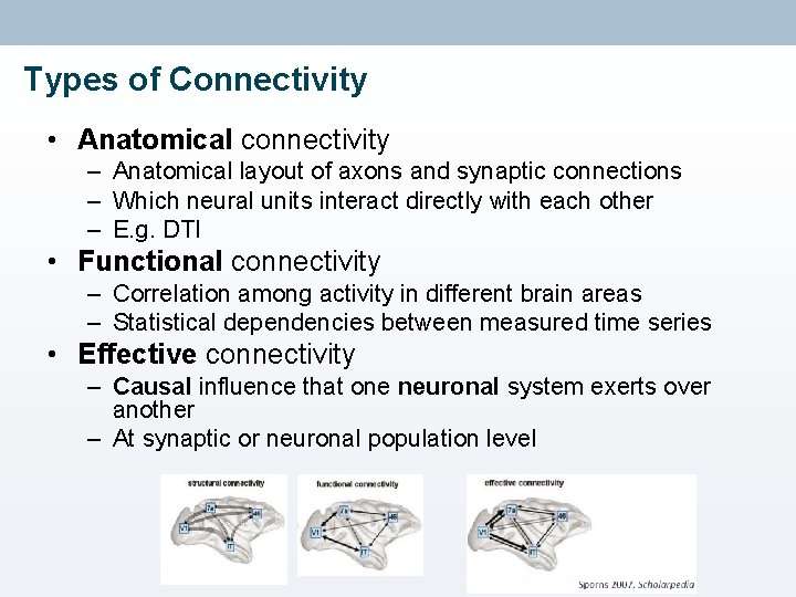 Types of Connectivity • Anatomical connectivity – Anatomical layout of axons and synaptic connections