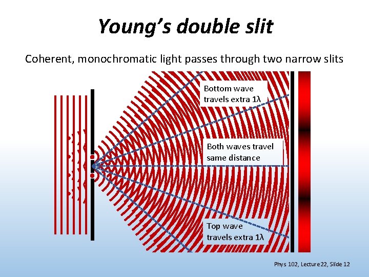 Young’s double slit Coherent, monochromatic light passes through two narrow slits Bottom wave travels