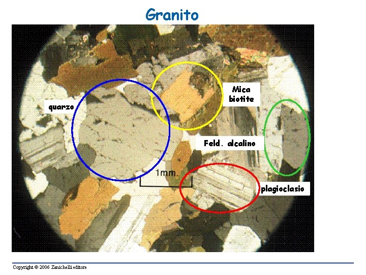 Granito quarzo Mica biotite Feld. alcalino plagioclasio Copyright © 2006 Zanichelli editore Granito quarzo Mica biotite Feld. alcalino plagioclasio Copyright © 2006 Zanichelli editore