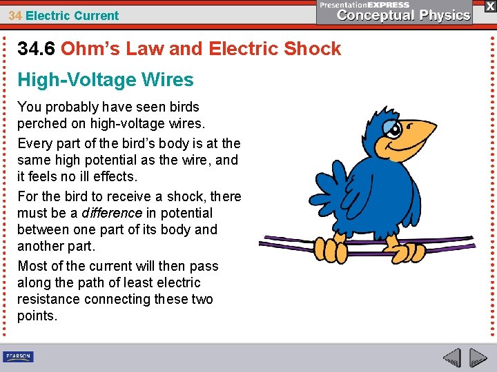 34 Electric Current 34. 6 Ohm’s Law and Electric Shock High-Voltage Wires You probably