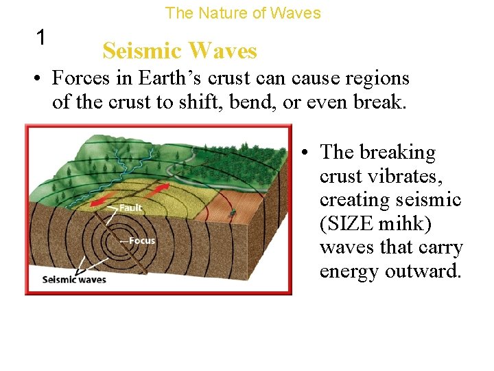 The Nature of Waves 1 Seismic Waves • Forces in Earth’s crust can cause
