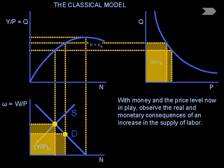 THE CLASSICAL MODEL Y/P = Q Q K = K 0 (MV)0 N P
