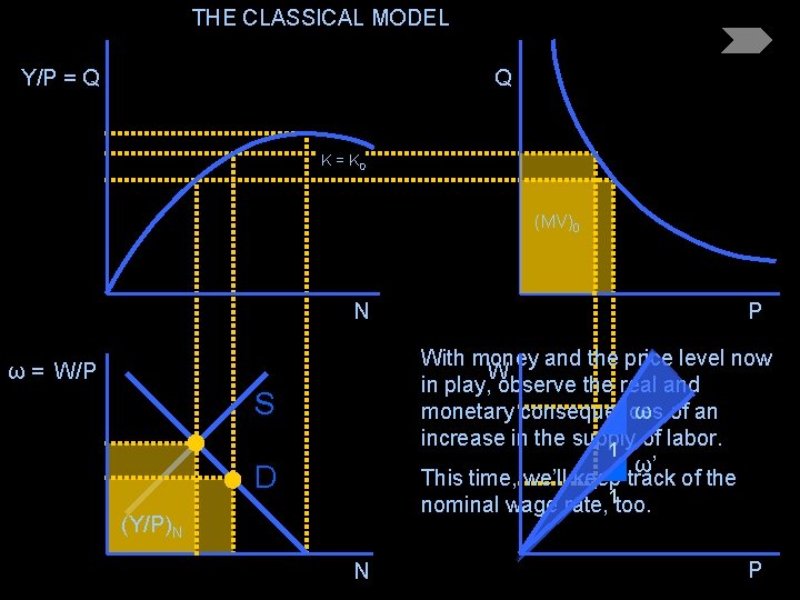 THE CLASSICAL MODEL Y/P = Q Q K = K 0 (MV)0 N P