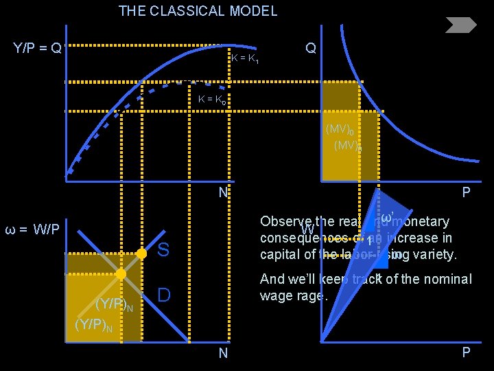 THE CLASSICAL MODEL Y/P = Q K = K 1 Q K = K
