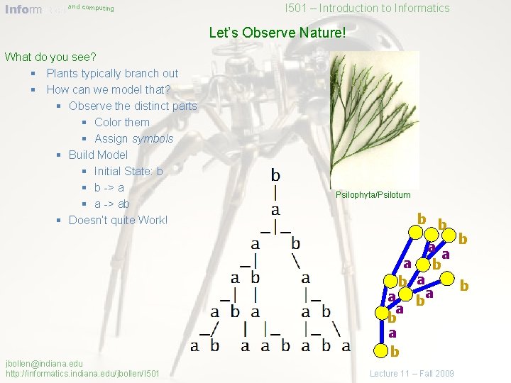 Informatics and computing I 501 – Introduction to Informatics Let’s Observe Nature! What do