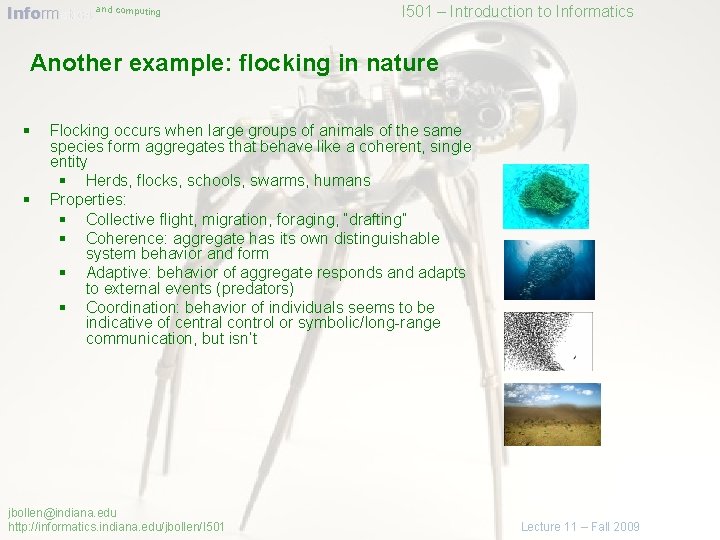 Informatics and computing I 501 – Introduction to Informatics Another example: flocking in nature