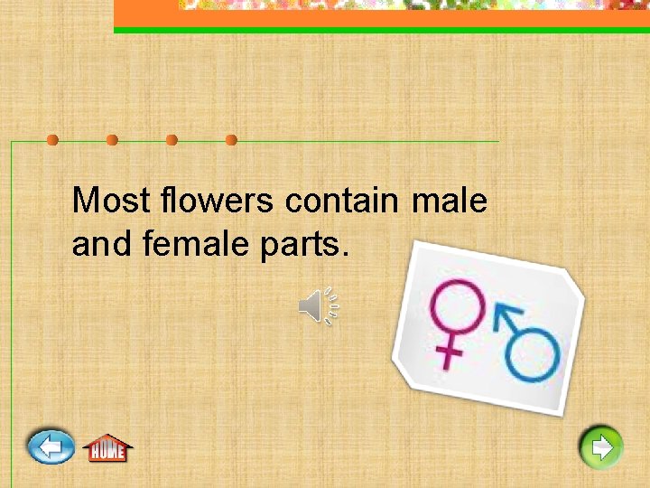 Most flowers contain male and female parts. 