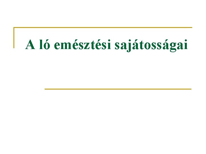 A ló emésztési sajátosságai 