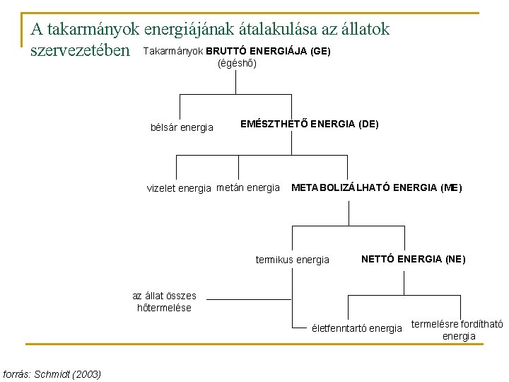 A takarmányok energiájának átalakulása az állatok szervezetében Takarmányok BRUTTÓ ENERGIÁJA (GE) (égéshő) bélsár energia