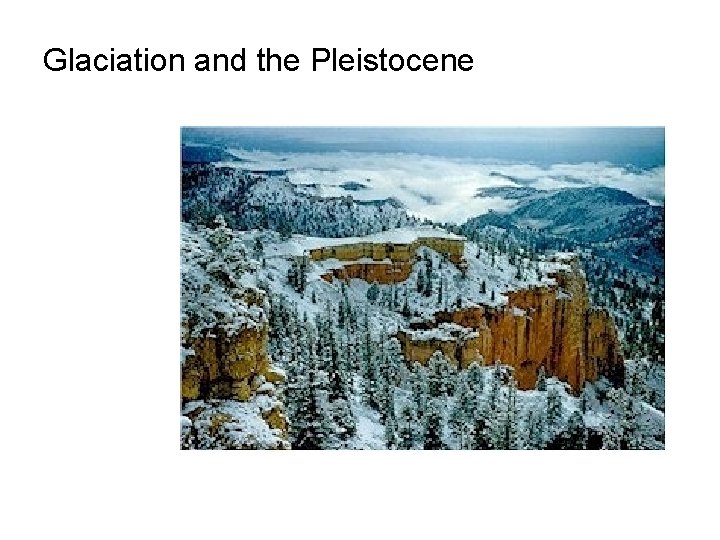 Glaciation and the Pleistocene 